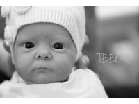 tink by bonnie brown